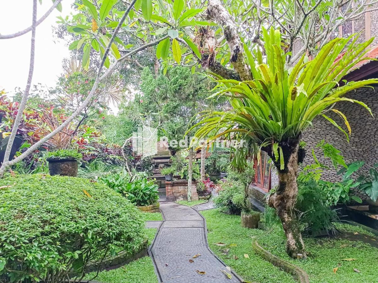 Nando House Apartman Ubud Kültér fotó